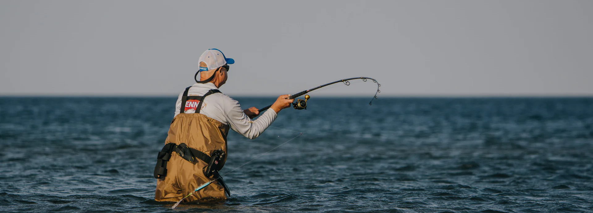 Vissen Kortingswinkel 1 Vissen Kortingswinkel -Vissen Kortingswinkel 1