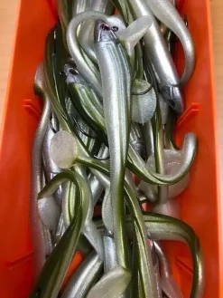 Delalande Speed ​​Slim -Vissen Kortingswinkel groen.jpg