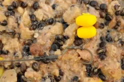 Korda Pop-up Corn -Vissen Kortingswinkel korda pop up corn 3.jpg