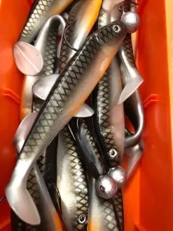 Delalande Shad GT Montée -Vissen Kortingswinkel strange roch 135.jpg