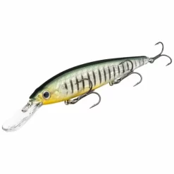 Strike King Kvd 300 Jerkbait -Vissen Kortingswinkel strike king kvd jerkbait 300 hook phantom perch 63815.jpg