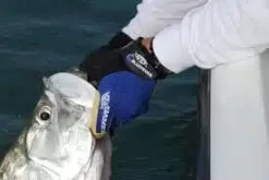 Aftco Bluefever Release Game Fishing Gloves -Vissen Kortingswinkel vis 1.jpg